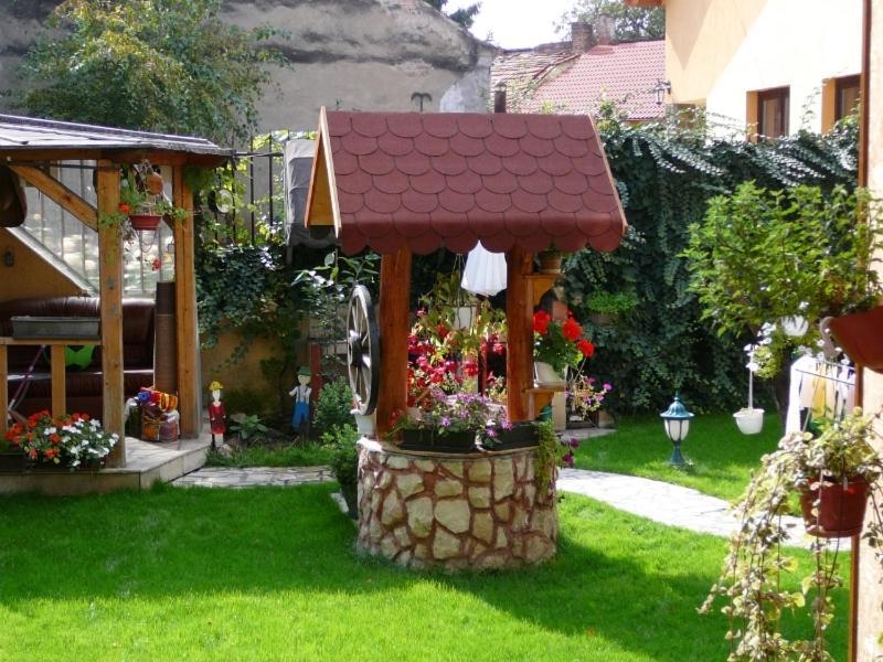 Pensiunea Pedro 3* Cluj-Napoca